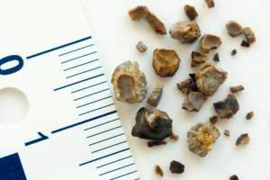 shutterstock_116071294