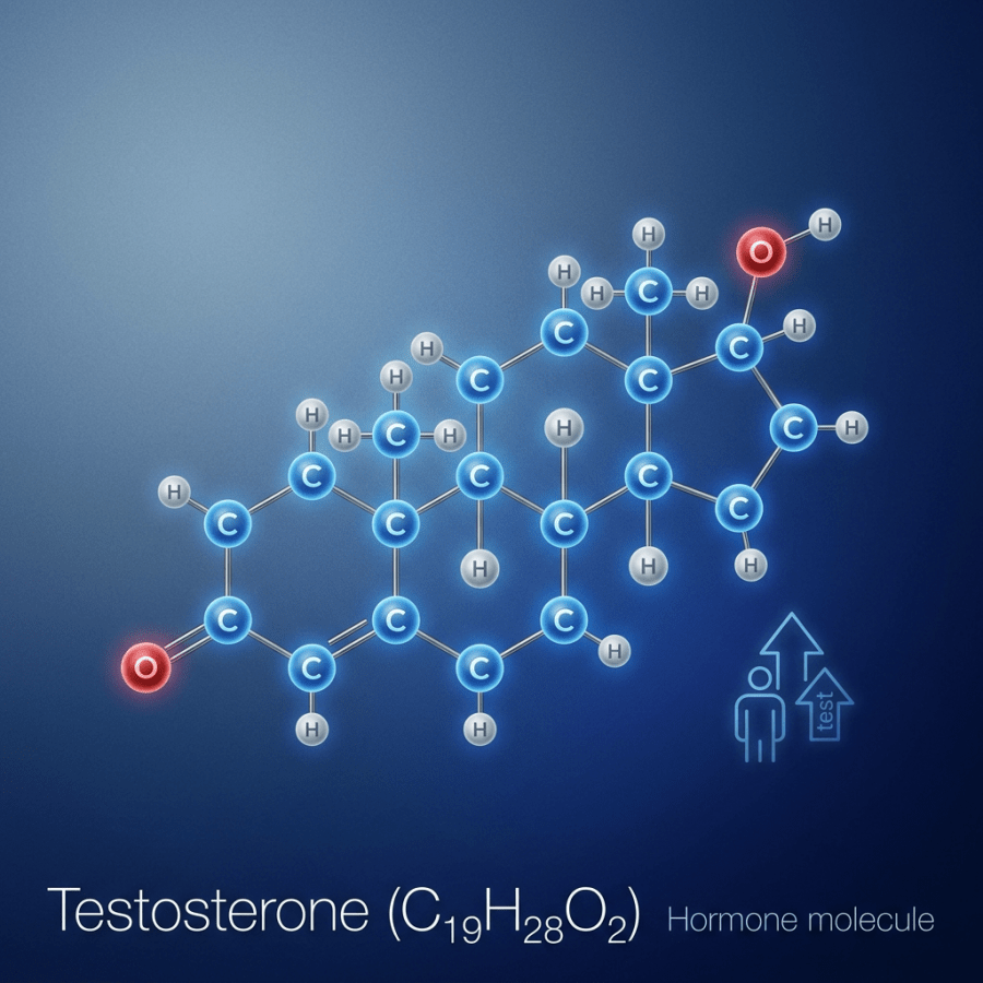 Molecular structure of testosterone showing carbon, hydrogen, and oxygen atoms